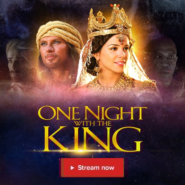 One Night With the King