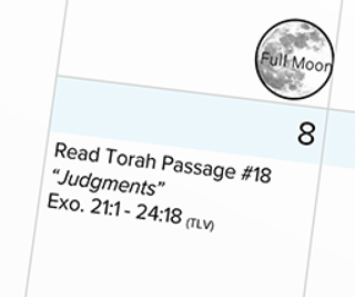 Learn about Old Testament Jewish Holidays 