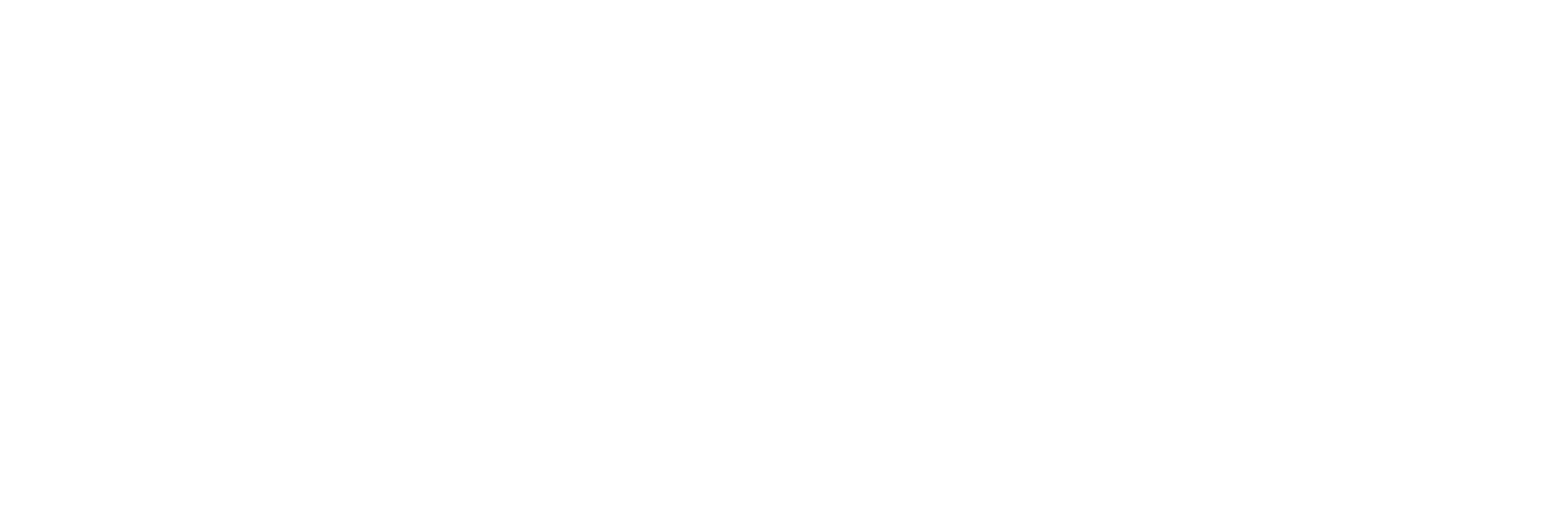 TBN logo - White